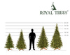 Świerk himalajski, choinka sztuczna Royal Trees premium PE 180 cm drzewko świąteczne jak żywe