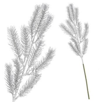 Gałązka świąteczna liść sztuczna dekoracja do stroika srebrna 47 cm