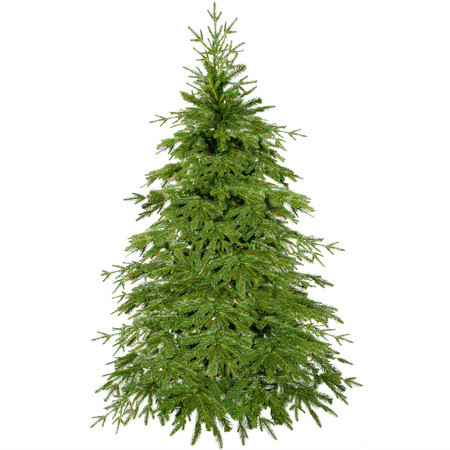 Choinka sztuczna 120 cm jak żywa świerk naturalny PE premium