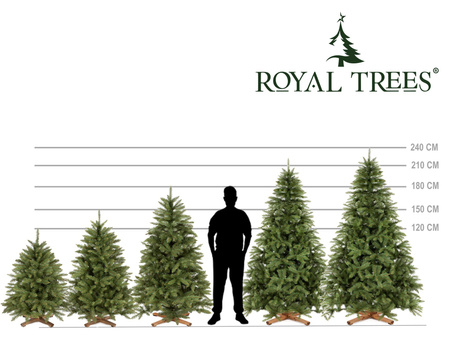 Choinka sztuczna Premium Royal Trees 180 cm świerk kaukaski z stojakiem, drzewko