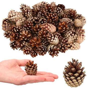 Szyszki sosnowe 500g dekoracyjne szyszki do stroików