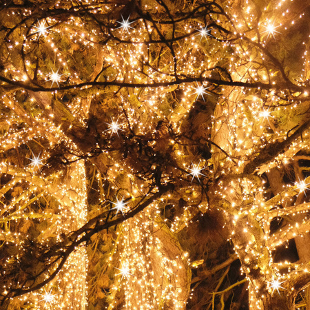 Lampki choinkowe 500 Led biały ciepły, flash biały zimny 41,5 m oświetlenie świąteczne IP44