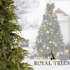 Świerk himalajski, choinka sztuczna premium PE 240 cm Royal Trees drzewko świąteczne jak żywe