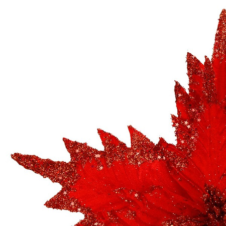 Gwiazda betlejemska, sztuczny kwiat na klipsie poinsecja czerwona z brokatem