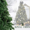 Sztuczna choinka jak żywa 150 cm sosna leśna Royal Trees premium z drewnianym stojakiem