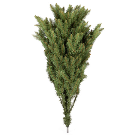 Choinka sztuczna Premium Royal Trees 240 cm świerk kaukaski z stojakiem, drzewko