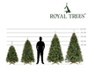 Choinka sztuczna Premium Royal Trees 150 cm świerk syberyjski z stojakiem, drzewko PE