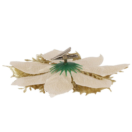 Gwiazda betlejemska 2 szt. sztuczny kwiat, poinsecja kremowo-złota z brokatem na klipsie