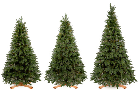 Choinka sztuczna Premium Royal Trees 210 cm sosna PE z stojakiem, drzewko