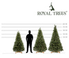 Choinka sztuczna Premium Royal Trees 210 cm sosna PE z stojakiem, drzewko