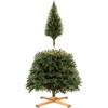 Choinka sztuczna Premium Royal Trees 210 cm sosna PE z stojakiem, drzewko
