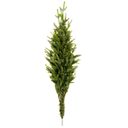 Świerk naturalny, drzewko świąteczne 220 cm choinka sztuczna, produkcja polska