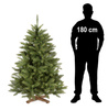 Choinka sztuczna Premium Royal Trees 150 cm świerk kaukaski z stojakiem, drzewko