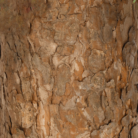 Choinka na pniu 90 cm sztuczna jodła zielona jak żywa