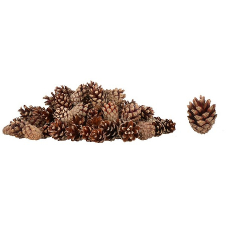 Szyszki sosnowe 500g dekoracyjne szyszki do stroików