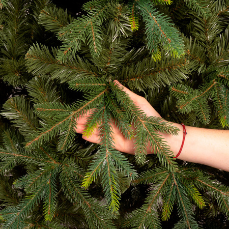 Świerk naturalny, drzewko świąteczne 220 cm choinka sztuczna, produkcja polska