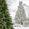 Choinka sztuczna Premium Royal Trees 150 cm świerk syberyjski z stojakiem, drzewko PE