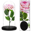 Wieczna róża w szklanym kloszu 22 cm świecąca dekoracja LED sztuczny kwiat różowy