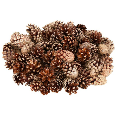 Szyszki sosnowe 500g dekoracyjne szyszki do stroików
