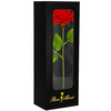Wieczna róża na łodydze 27 cm z pudełkiem prezentowym sztuczny kwiat czerwony