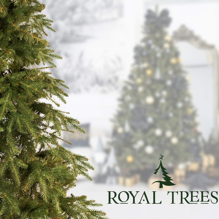 Świerk himalajski, choinka sztuczna Royal Trees premium PE 210 cm drzewko świąteczne jak żywe