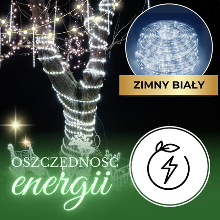 Wąż świetlny 240 Led biały zimny 10m z programatorem IP44