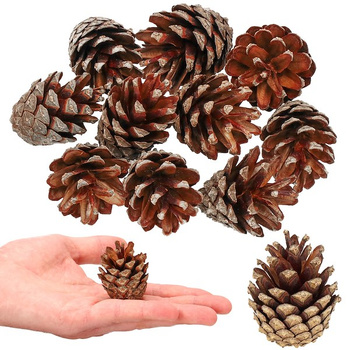 Szyszki sosnowe 10 szt. dekoracyjne szyszki do stroików