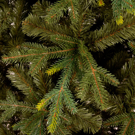 Świerk naturalny, drzewko świąteczne 220 cm choinka sztuczna, produkcja polska