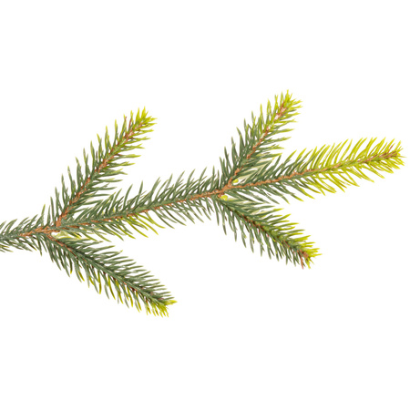 Świerk naturalny, drzewko świąteczne 220 cm choinka sztuczna, produkcja polska