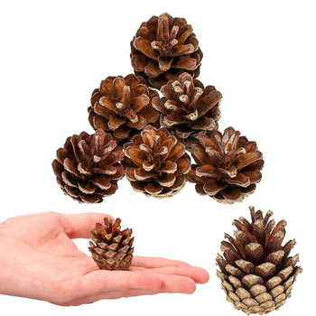 Szyszki sosnowe 6 szt. dekoracyjne szyszki do stroików