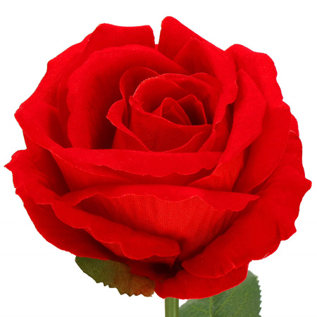 Wieczna róża z łodygą 50cm sztuczny kwiat jak żywy czerwony