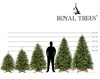 Choinka sztuczna Premium Royal Trees 220 cm świerk kaukaski z stojakiem, drzewko 