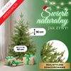 Świerk naturalny, drzewko świąteczne premium 90 cm choinka sztuczna, produkcja polska