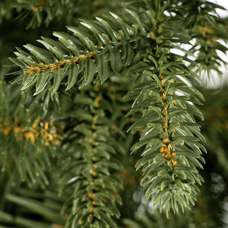 Choinka sztuczna premium 250 cm świerk alpejski