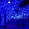 Lampki choinkowe 500 Led niebieski 41,5 m oświetlenie świąteczne IP44